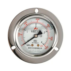 杜瓦罐天然气压力表4 MPa - 图片 3