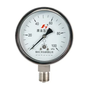 膜盒压力表100 KPa