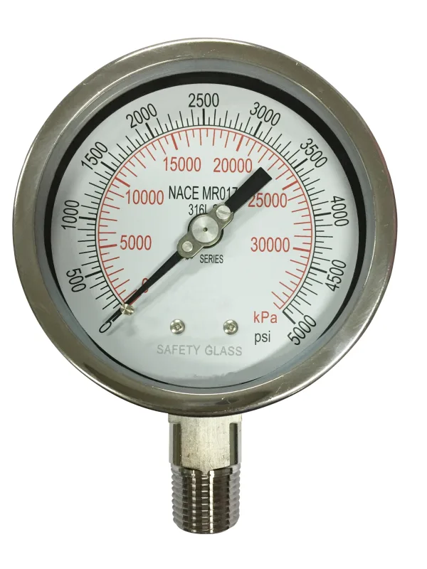 NACE防腐压力表