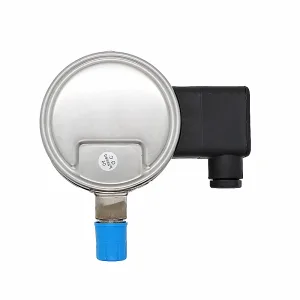 sf6密度继电器 - 图片 2