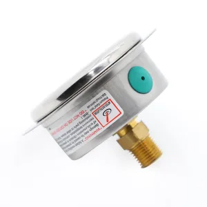 杜瓦罐天然气压力表3 MPa - 图片 4