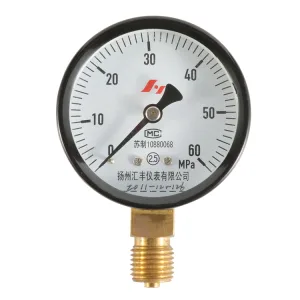 黑铁壳经济型压力表 - 图片 4