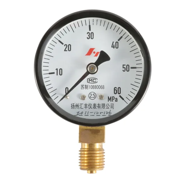 黑铁壳经济型压力表
