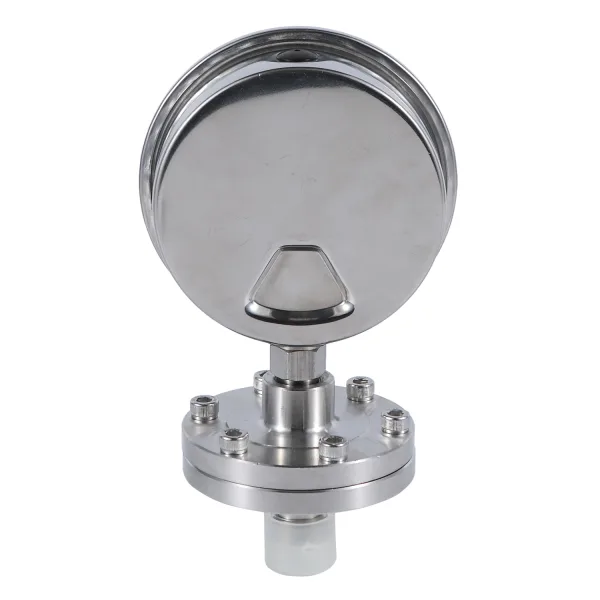 全不锈钢隔膜压力表 10 bar 1 MPa