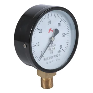 黑铁壳经济型压力表 - 图片 2