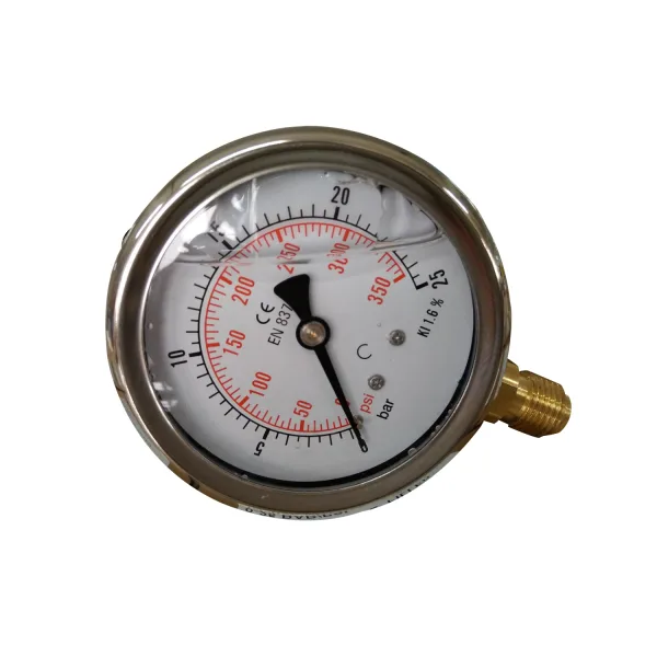 不锈钢硅油填充EN837-1压力表